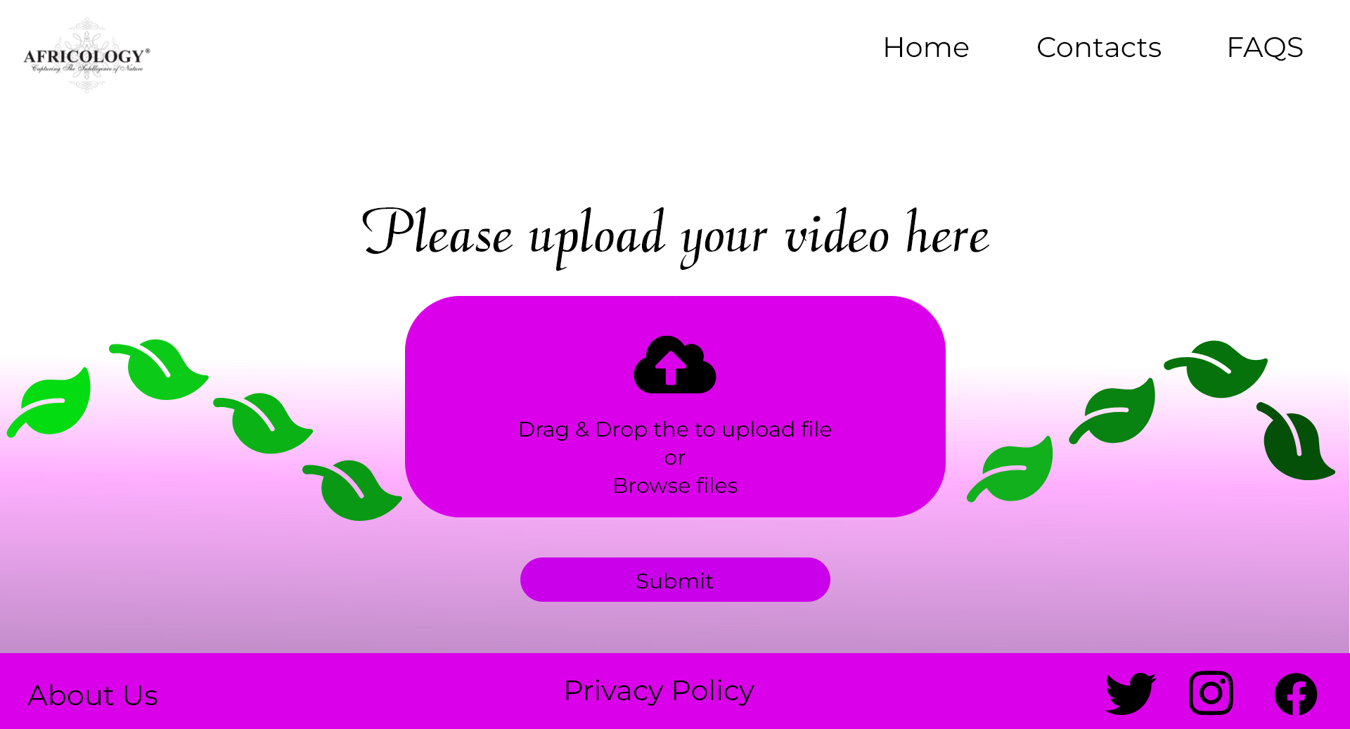 Africology upload video section picture